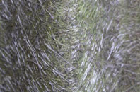 Height End fibreglass roof work